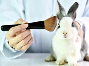 Cruelty-free Cosmetics Vegan