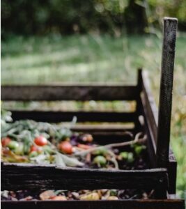 Compost Food Waste