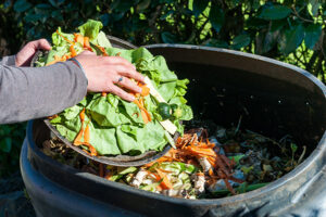 organic waste compost