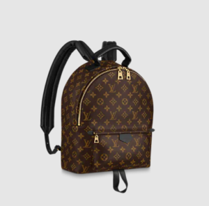 Louis Vuitton Backpack Signature